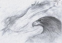 Imatge relacionada amb àguila