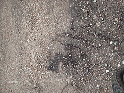Imatge relacionada amb asfalt