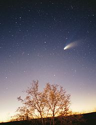 Imatge relacionada amb cometa