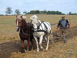 Imatge relacionada amb agricultura