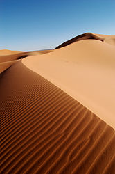 Imatge relacionada amb duna