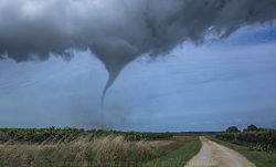 Imatge relacionada amb tornado