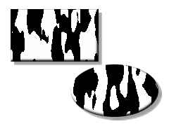 Exemple del filtre «Pell de vaca»