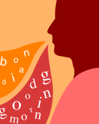 Presentem 14 models de traducció neuronals i les dades obertes que permeten crear-los